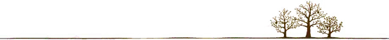 1620264179454779.png 640(1).png